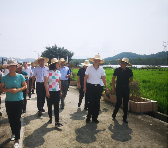CQ9电子·(中国)唯一官方网站