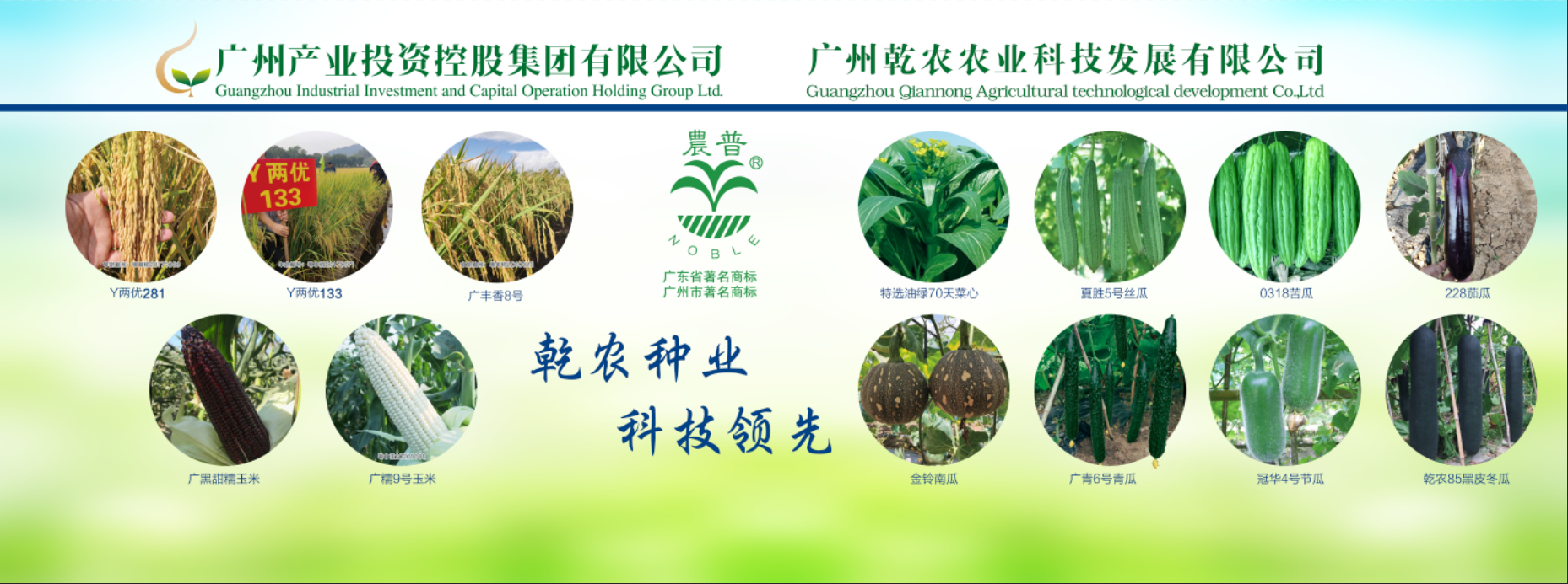 CQ9电子·(中国)唯一官方网站