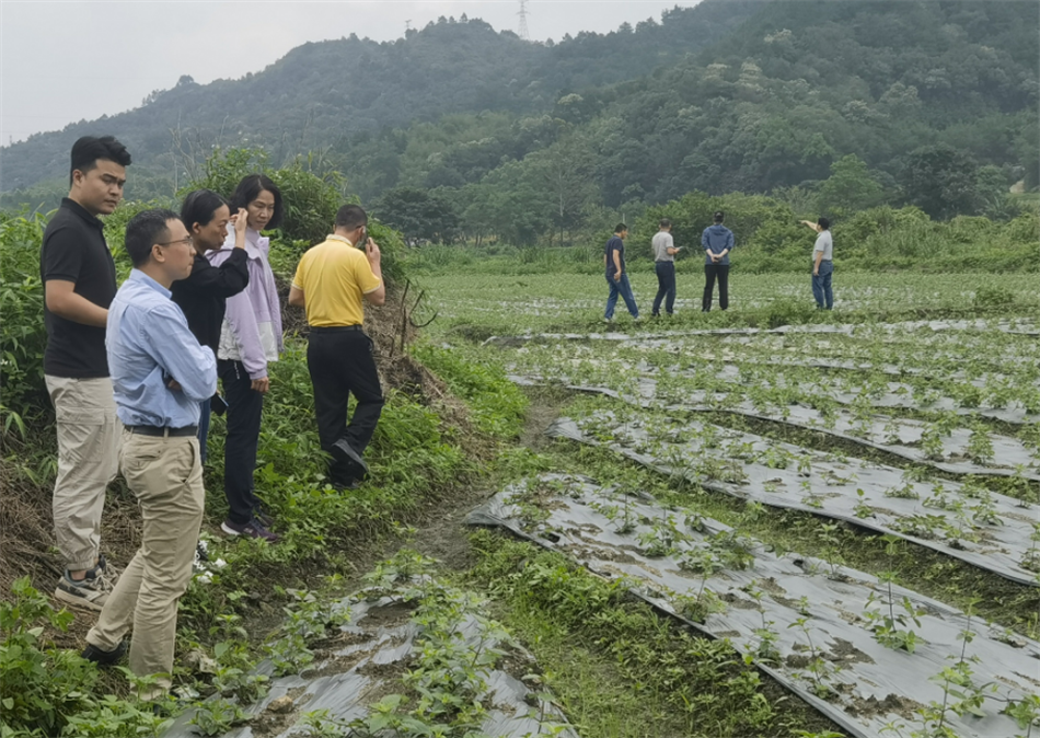 CQ9电子·(中国)唯一官方网站