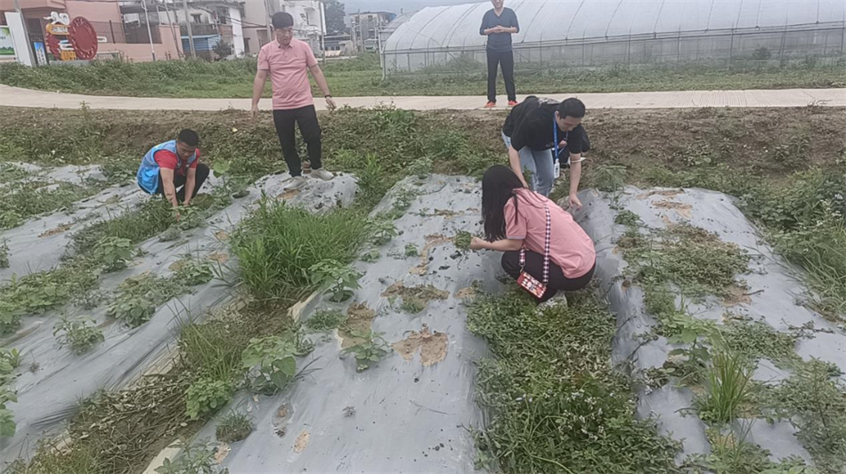 CQ9电子·(中国)唯一官方网站