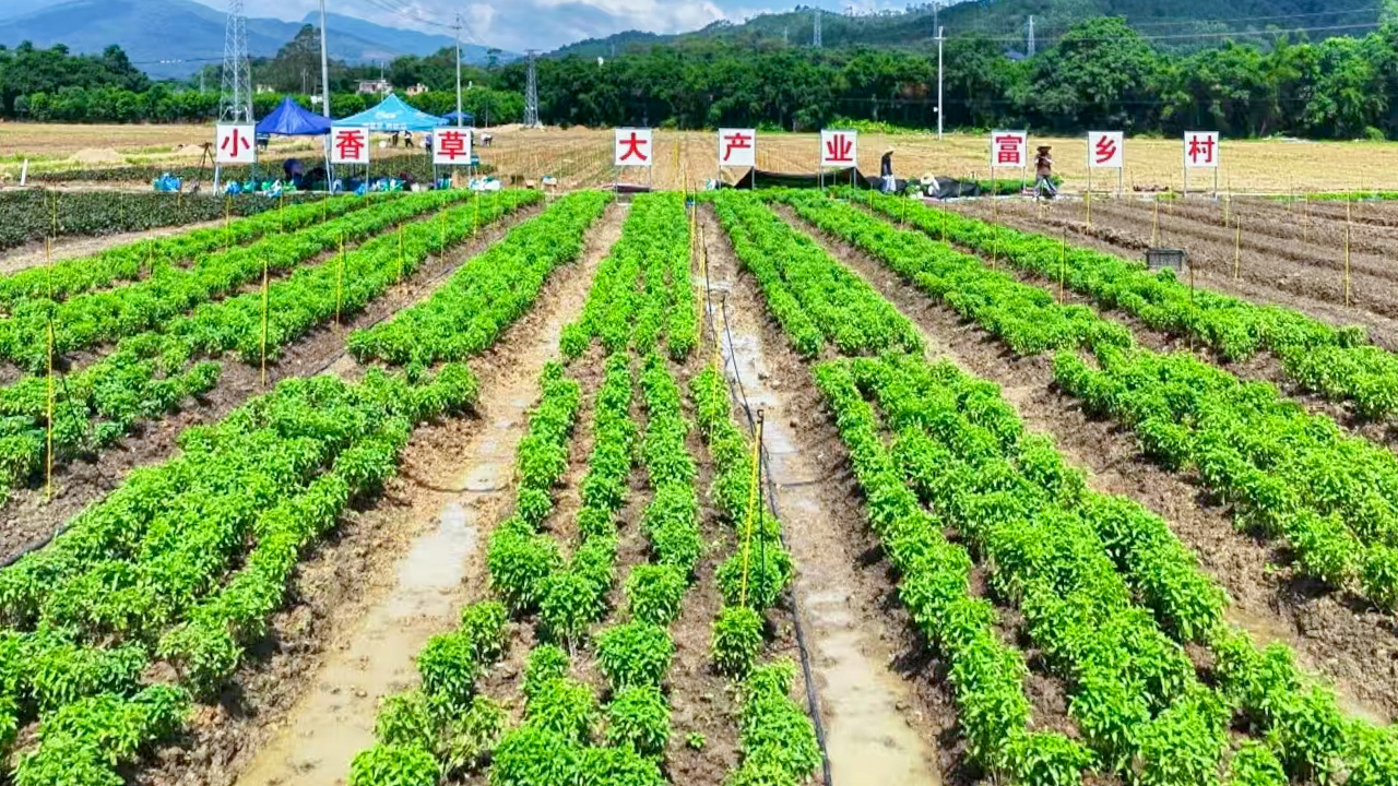 CQ9电子·(中国)唯一官方网站